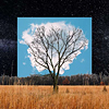 CD Tipp des Monats: Fink - Bloom Innocent ()