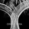 Pop CD Tipp: Raz Ohara And The Odd Orchestra - II (Akustikgitarre, klare Klaviert&ouml;ne, Streicherteppiche und elektronische Elemente verschmelzen zu einer zauberhaften Stimmung, getragen von Raz fragiler warmer Stimme und von Oliver Doerell kogenial klanglich untermalt. Wunderbar arrangierte elektroakustische Popsongs des D&auml;nen Raz O&acute;Hara!)