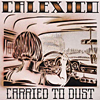 Rock CD Tipp des Monats: Calexico - Carried to dust (Sanft weht die Mariachi Trompete den W&uuml;stenstaub vor sich her bis dann Joey Burns Stimme fast fl&uuml;sternt den Raum erf&uuml;llt und cineastische Landschaften zeichnet. Schlicht gro&szlig;artig!)